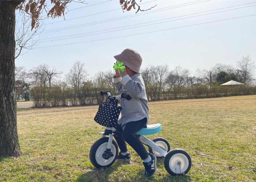 三輪車の前かごバッグ　外へ