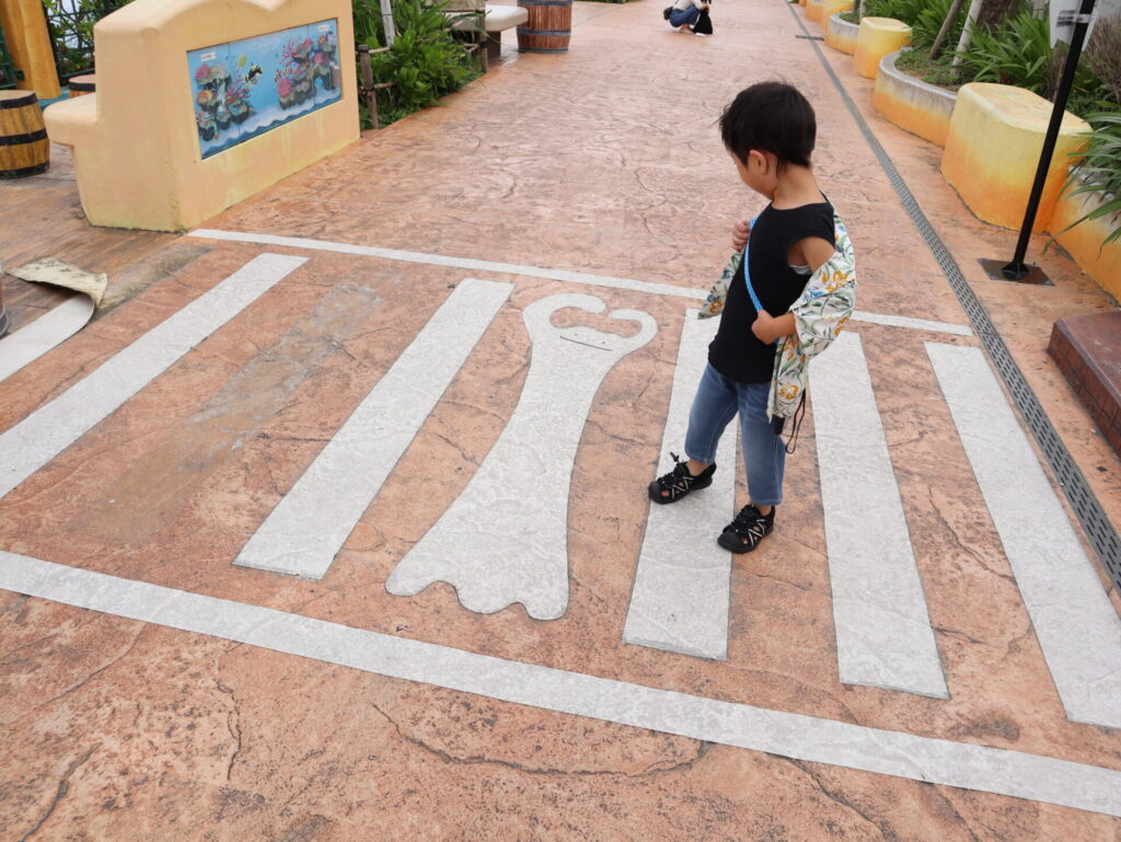 そらとぶピカチュウプロジェクト　ポケジェニック　メタモンの横断歩道