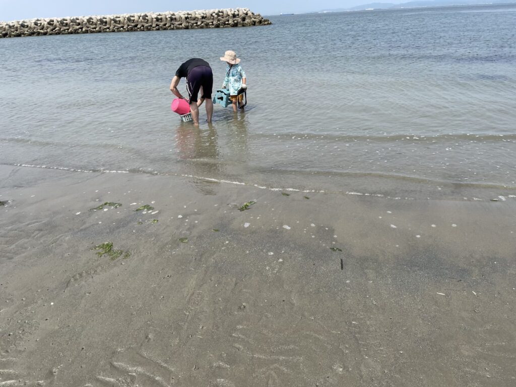 バケツに海水をくむ