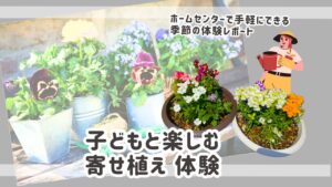 子どもと楽しむ寄せ植えアイキャッチ画像