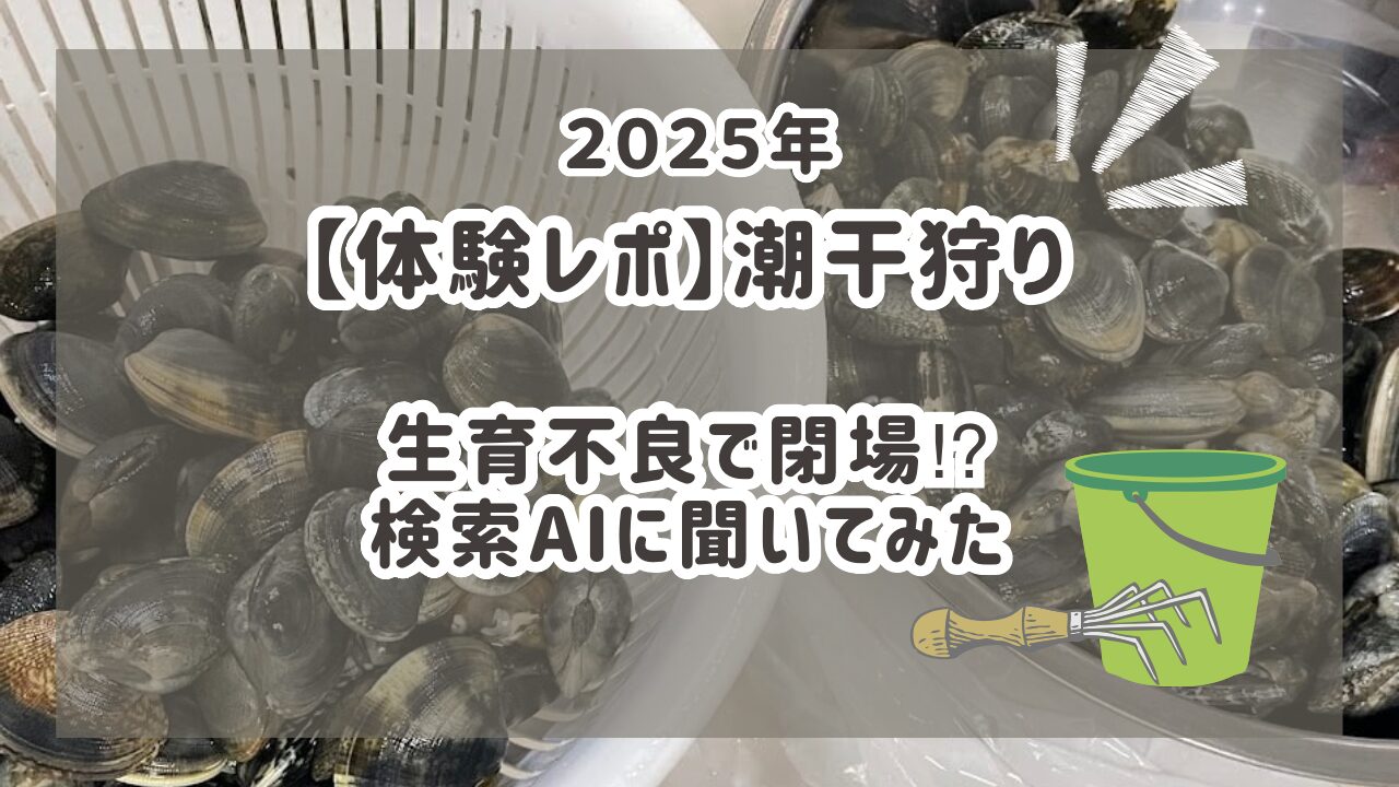 潮干狩り体験レポ2025