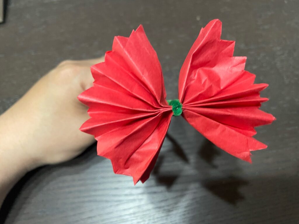 カーネーション