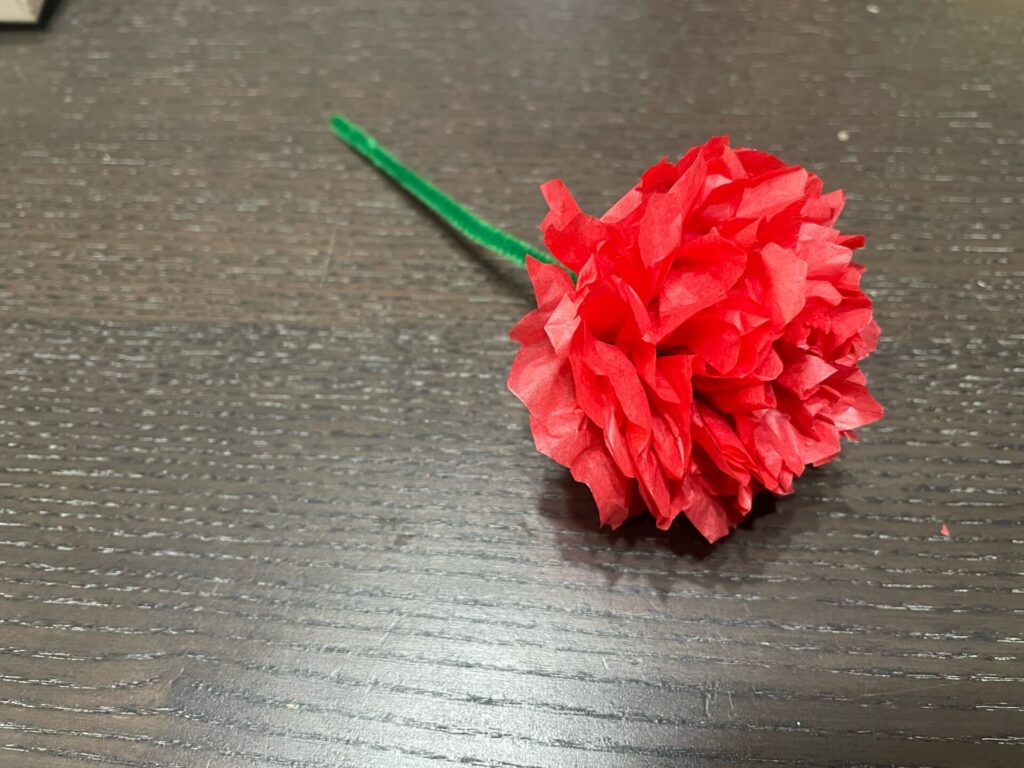 カーネーション