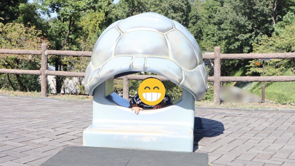 カメになれる