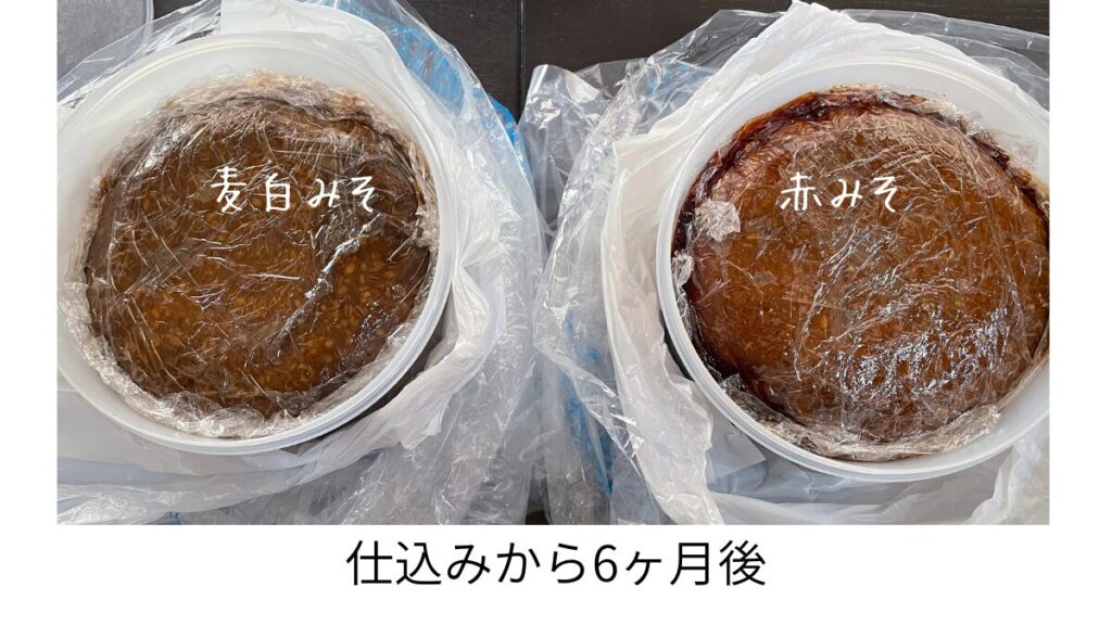 6か月