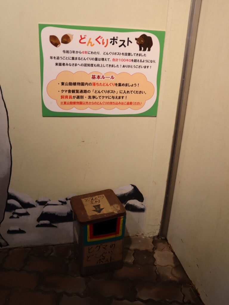 くまのどんぐりポスト