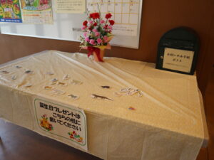 動物へのプレゼント