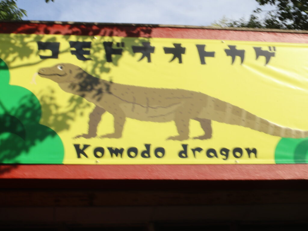 コモドドラゴン入口