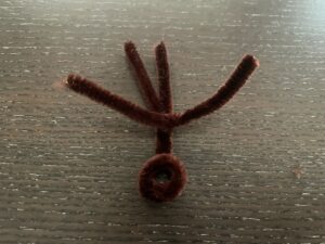 モールのクモ