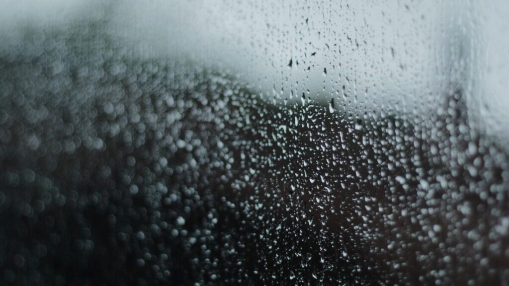 雨