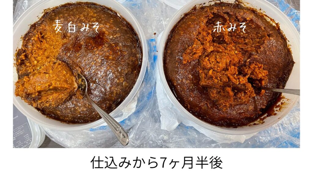 7か月半