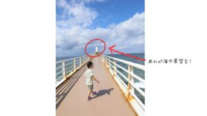 ブセナ海中公園海中展望台