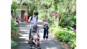 ベビーカー　ビオスの丘