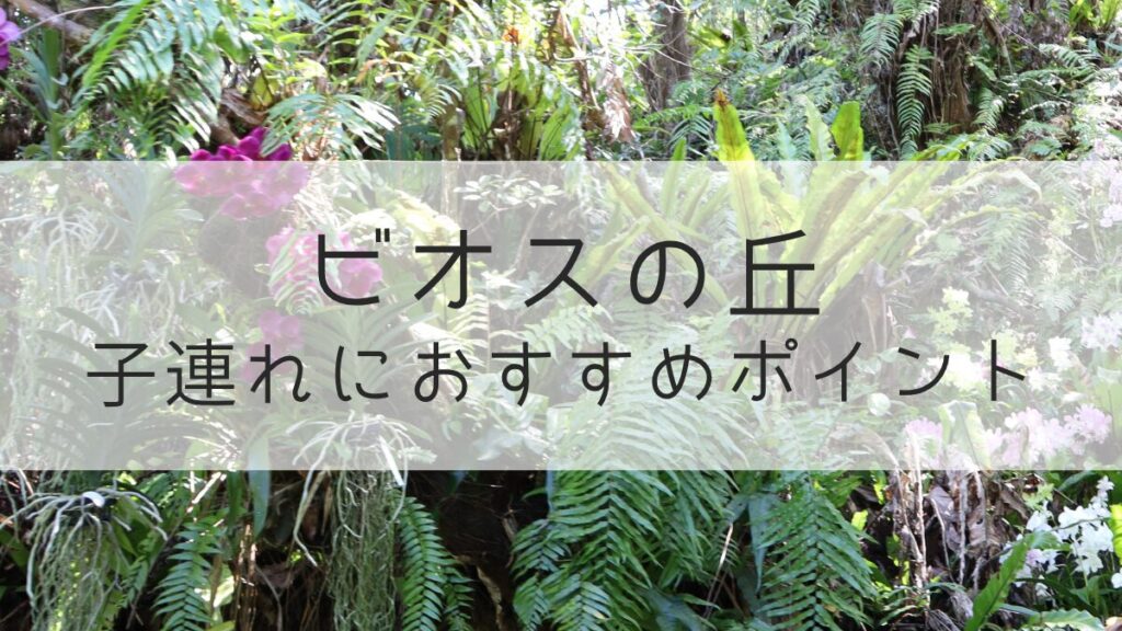 ビオスの丘 おすすめポイント