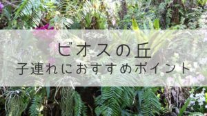ビオスの丘　おすすめポイント