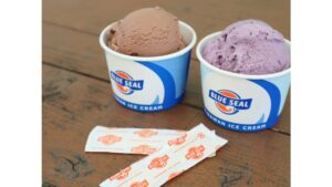 ブルーシールアイス