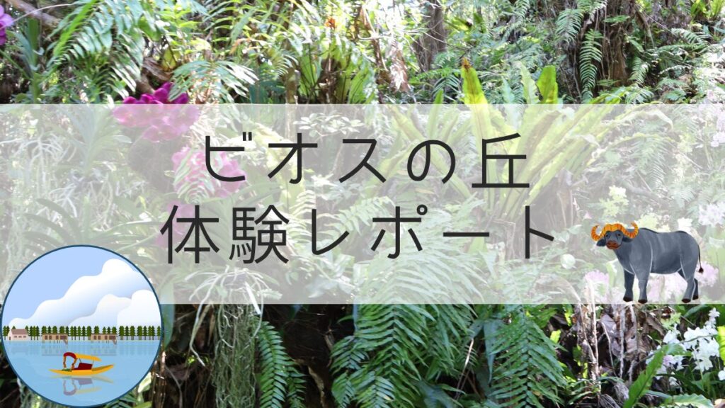 ビオスの丘体験レポ