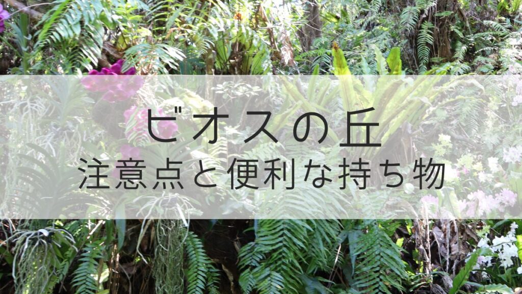 ビオスの丘 注意点と持ち物