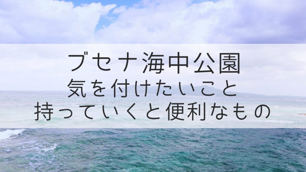 ブセナ海中公園 気を付けたいことと持ち物