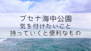 ブセナ海中公園　気を付けたいことと持ち物