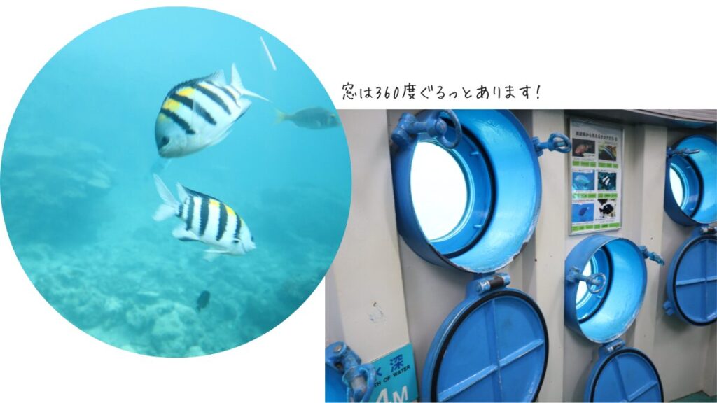 海中展望台の中
