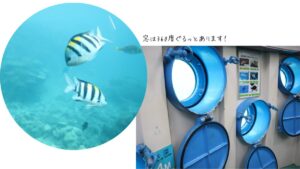 海中展望台の中