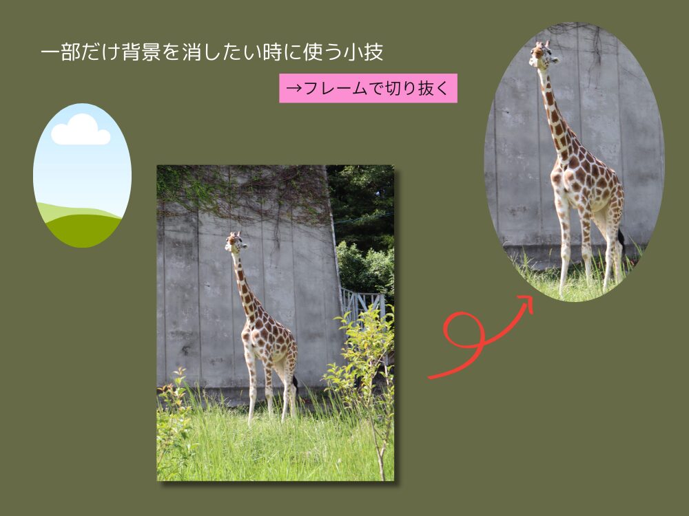 フレームで切り取る