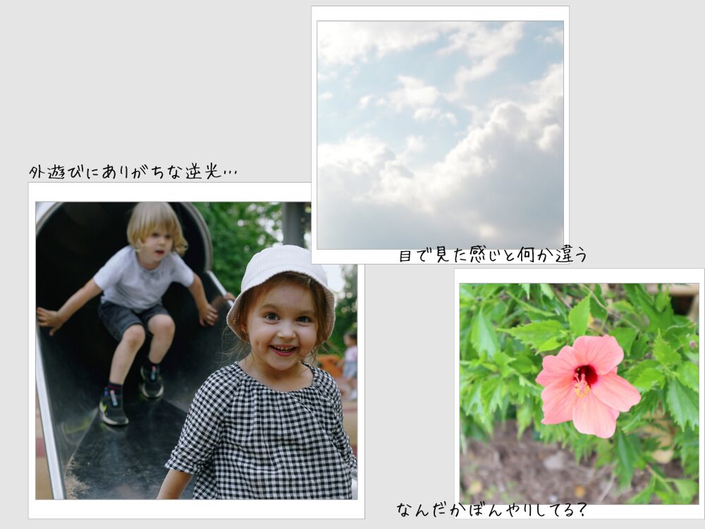 残念な写真のサンプル