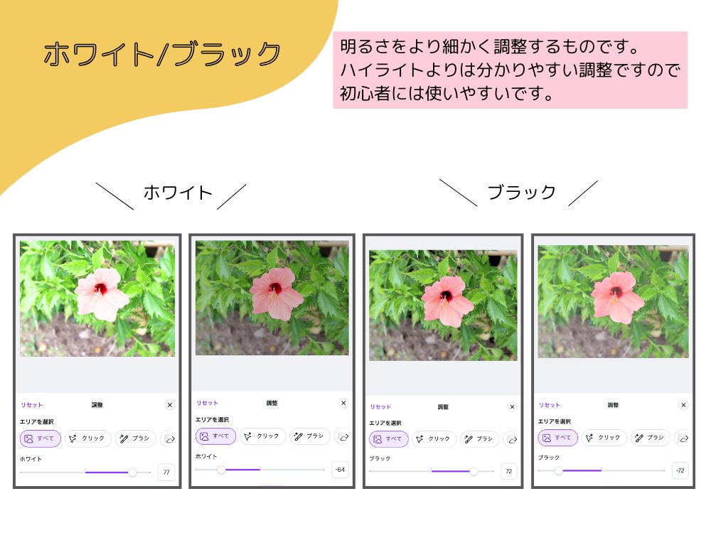 ホワイトブラック