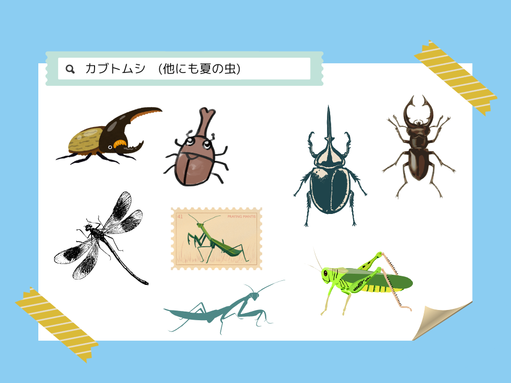 素材　夏の虫
