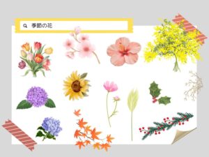 季節の花