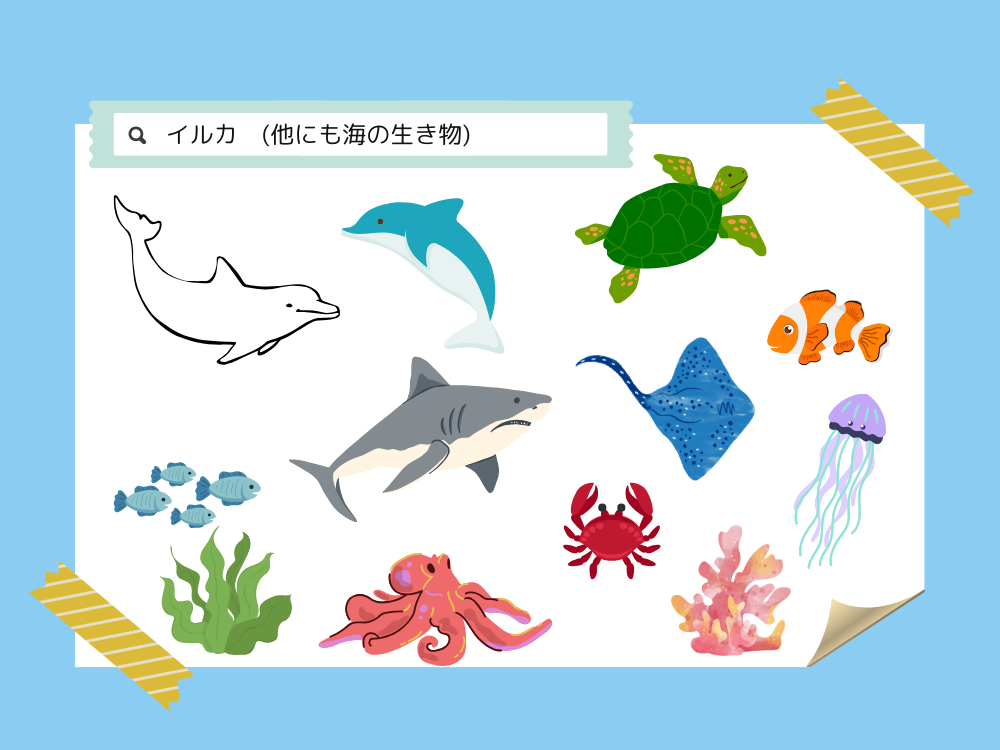 素材　海の生き物