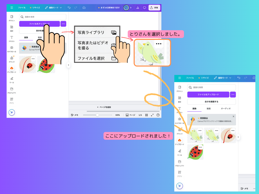 アップロードの手順
