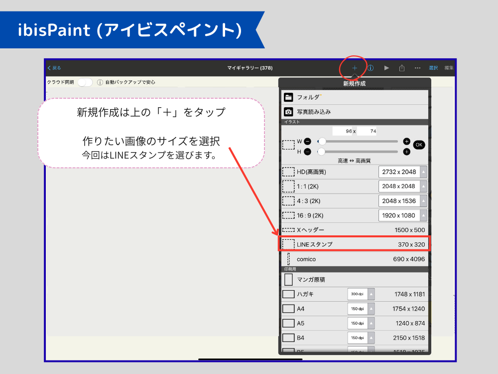 アイビス　サイズ選択