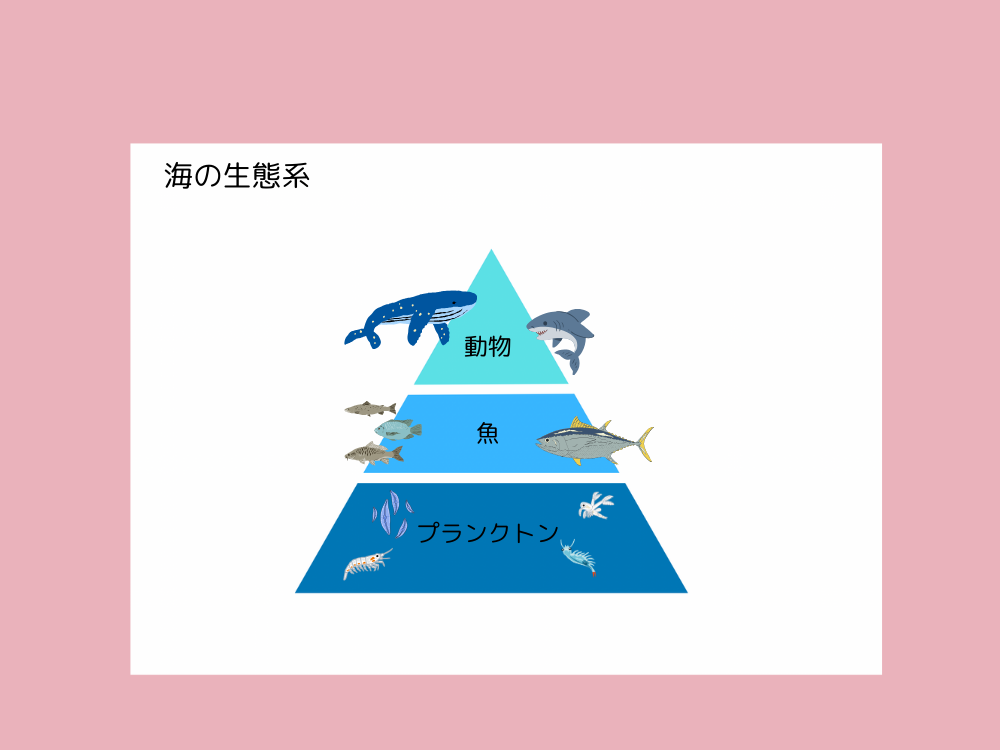 ピラミッド図　サンプル