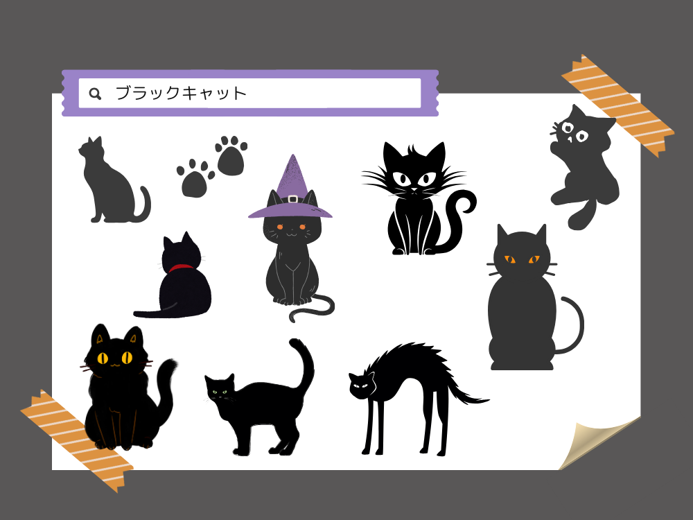 ブラックキャット