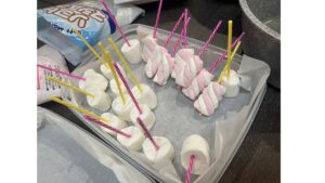 棒をマシュマロにさす