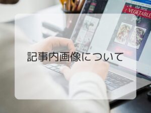 記事内画像について