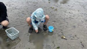 潮干狩りする息子