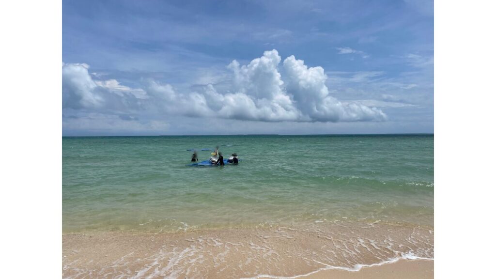 海