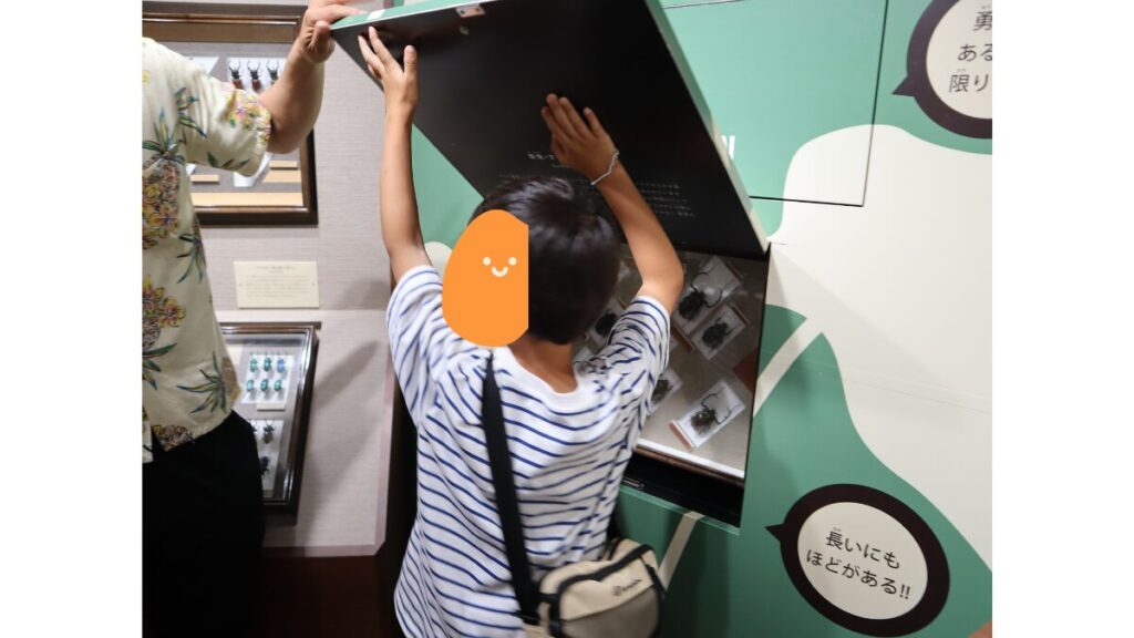 昆虫博物館