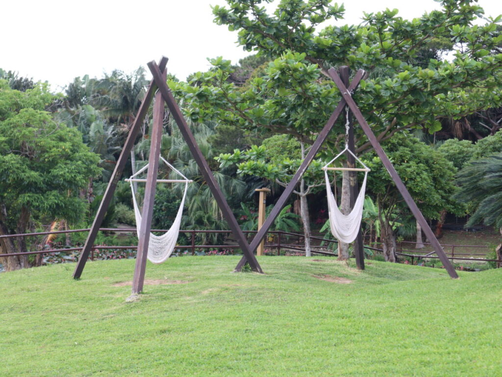 大きなブランコ