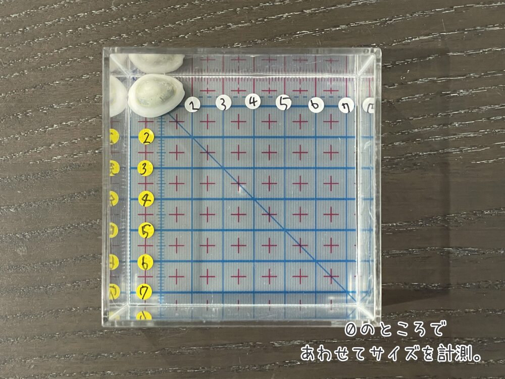 観察ケース