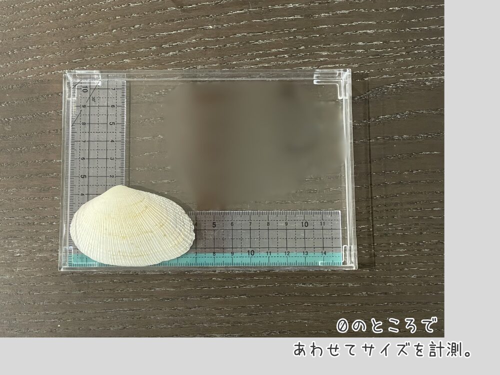 大きいサイズの測り方