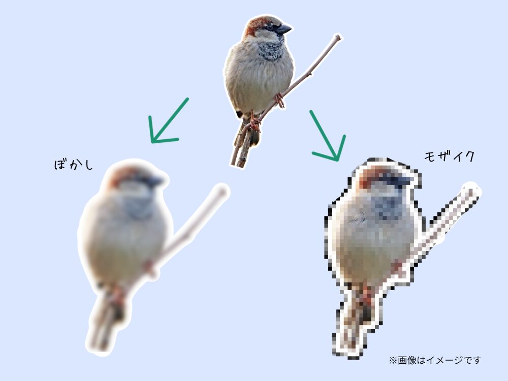 ぼかしとモザイク